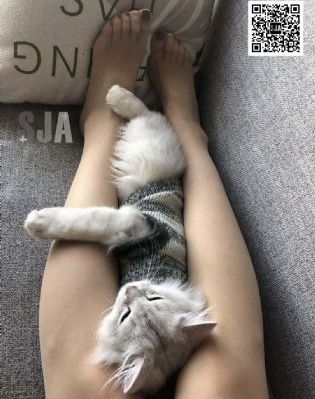 欧美色插逼_HD免费观看韩国